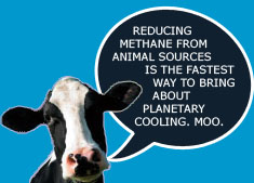 Reducing Methane from animal sources is the fastest way to bring about planetary cooling